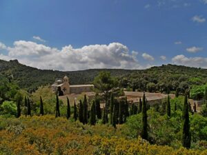 Abbaye fontfroide cyprès maquis Narbonne