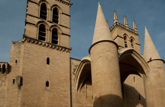 Montpellier visite séjour touristique
