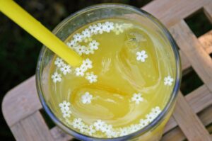 Recette de limonade à la fleur de sureau